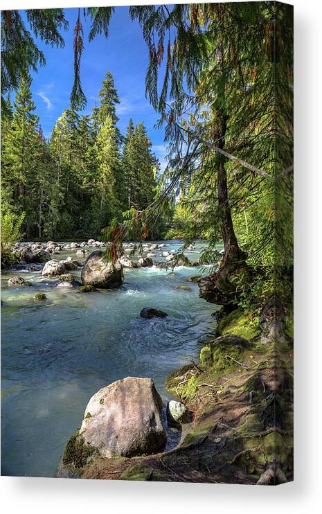 Alex Lyubar Canvas Print featuring the photograph Small arm of Cheakamus River by Alex Lyubar