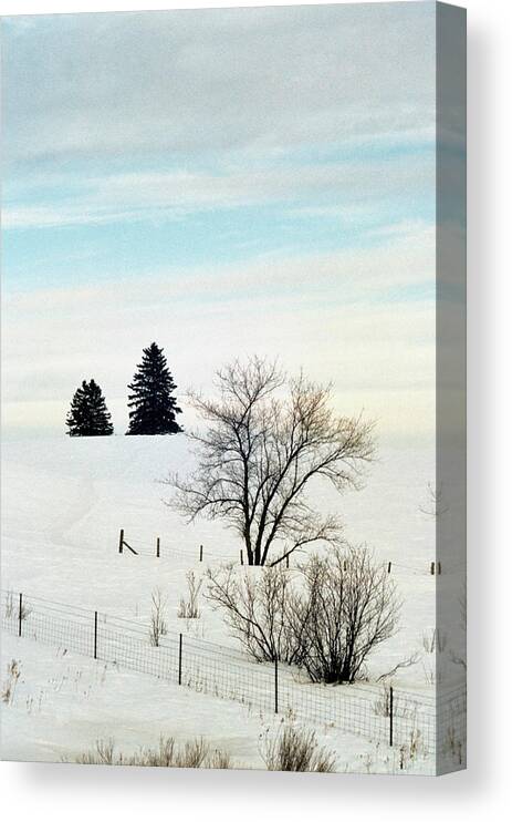 Snow Canvas Print featuring the photograph Snow Covered Landscape, Yellowstone by Medioimages/photodisc