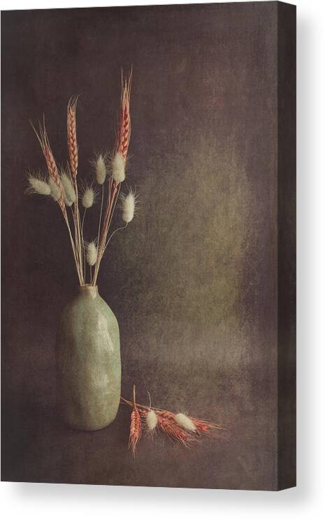Vase Canvas Print featuring the photograph Soft Lines by iek K?ral