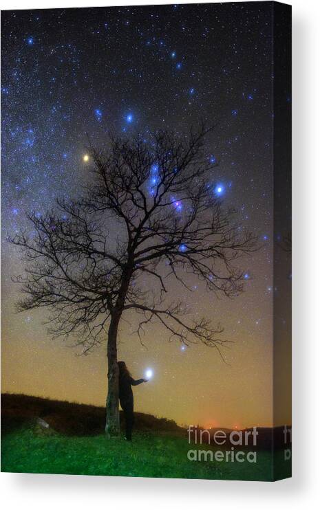 One Person Canvas Print featuring the photograph Stargazing Holding Sirius by Miguel Claro/science Photo Library