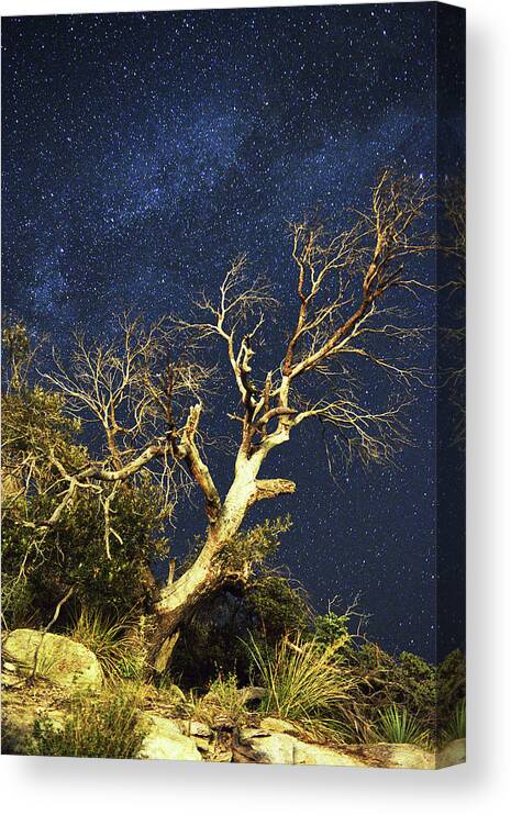 Starry Sky Canvas Print featuring the photograph Stars light up Arizona Sky by Chance Kafka