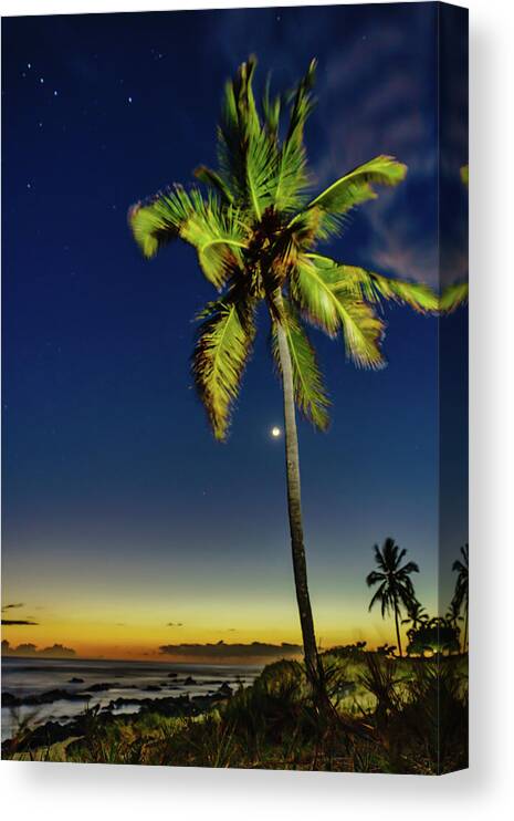 Hawaii Canvas Print featuring the photograph Stars - Palms - Moon -Sea by John Bauer