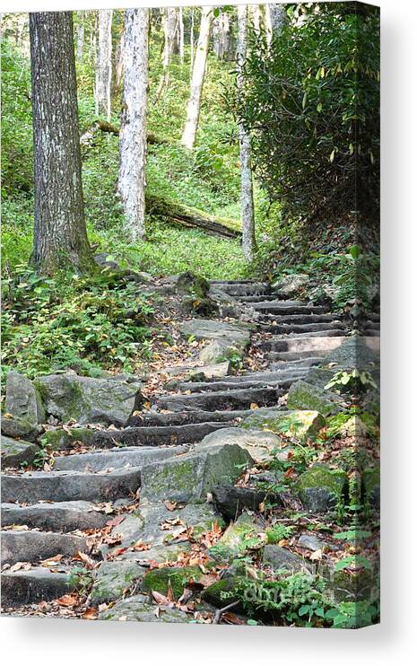 Tennessee Canvas Print featuring the photograph Steps Up Into The Forest 2 by Phil Perkins