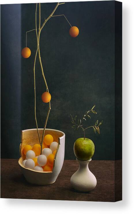 Still Life Canvas Print featuring the photograph Still Life by Brig Barkow
