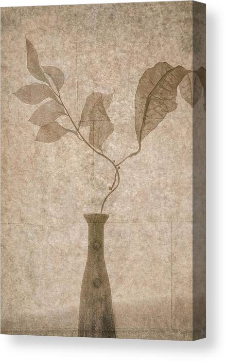Leaves Canvas Print featuring the photograph Still Life by Igor Tokarev
