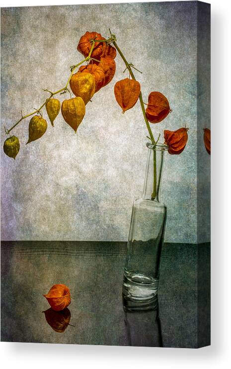 Still Life Canvas Print featuring the photograph Still Life With A Branch Of Physalis In A Slanted Bottle by Brig Barkow