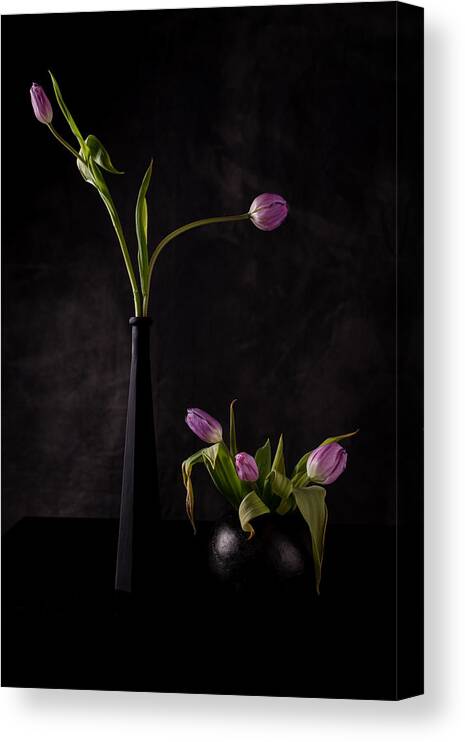 Tulips Canvas Print featuring the photograph Still Life With Five Pink Tulips by Vito Guarino