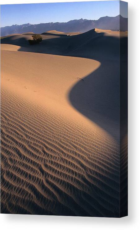 Shadow Canvas Print featuring the photograph Stovepipe Wells, Sand Dunes, Death by John Elk Iii