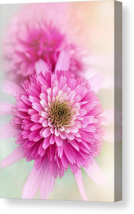 Flower Canvas Print featuring the photograph Summer Spirit by Jacky Parker