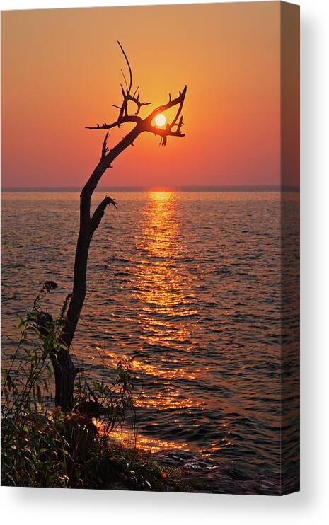 Sun Wi Cave Point Park Door County Lake Michigan Alignment Canvas Print featuring the photograph SunCatcher - Dead tree grasps the rising sun at Cave Point Park in Door County WI by Peter Herman