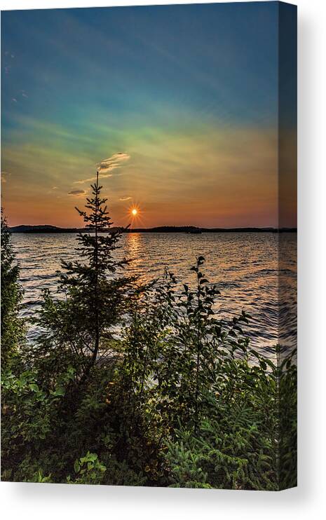 Dog Lake Canvas Print featuring the photograph Sunset pine by Joe Holley