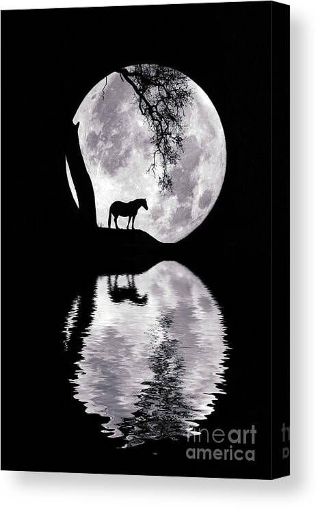 Horse Canvas Print featuring the photograph Super Moon and Horse with Reflection by Stephanie Laird