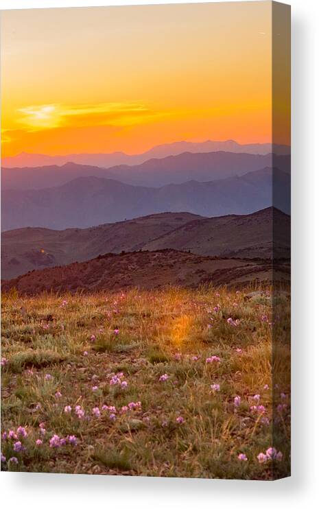 Landscape Canvas Print featuring the photograph Sweetwater Sunset by Mark Miller