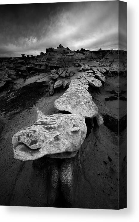 Rock Canvas Print featuring the photograph Tale Of The Dragon by John Fan