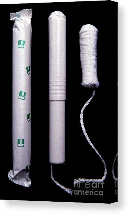 Tampons Absorbing A Menstrual Period Canvas Print / Canvas Art by Cordelia Molloy/science Photo Library - Prints