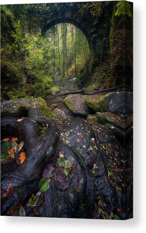 Woods Canvas Print featuring the photograph The Gates Of Autumn by Lost In Woodlands