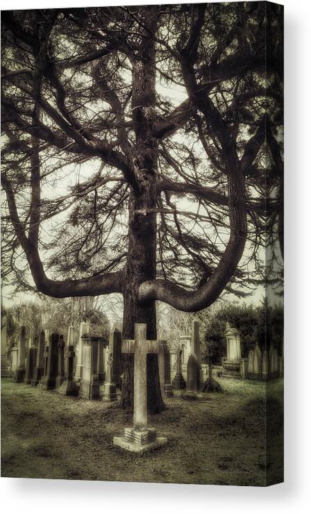 Graveyard Canvas Print featuring the photograph The Good Earth by Micah Offman