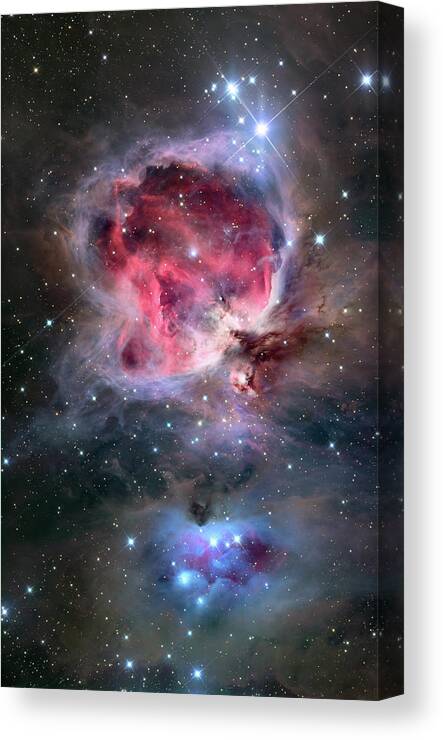 Constellation Canvas Print featuring the photograph The Orion Nebula Also Known As Messier by Stocktrek Images