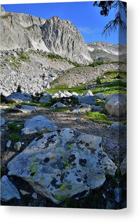 Snowy Range Mountains Canvas Print featuring the photograph The Snowy Range of Wyoming by Ray Mathis