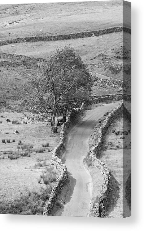 England Country Canvas Print featuring the photograph The Struggle in the Lake District UK by John McGraw