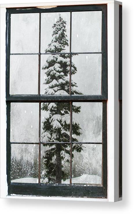 Window Canvas Print featuring the photograph Through the Window by Marilyn Wilson