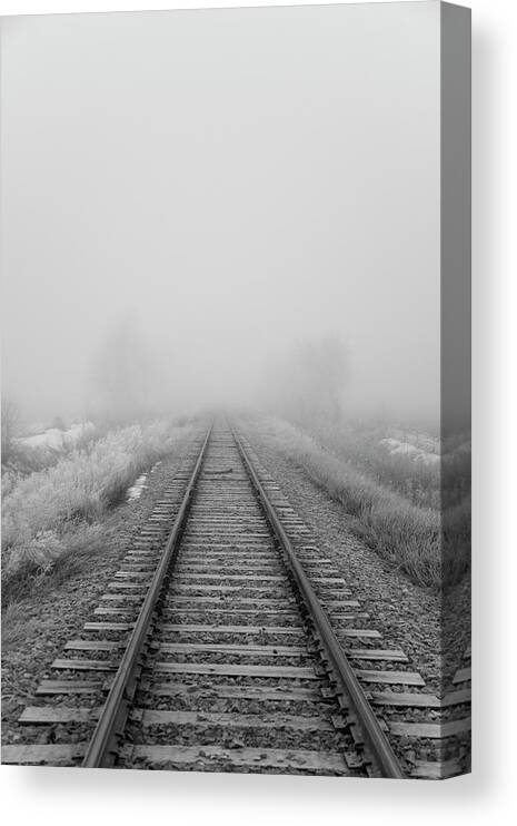 Tranquility Canvas Print featuring the photograph Tracks by Jim Bushelle