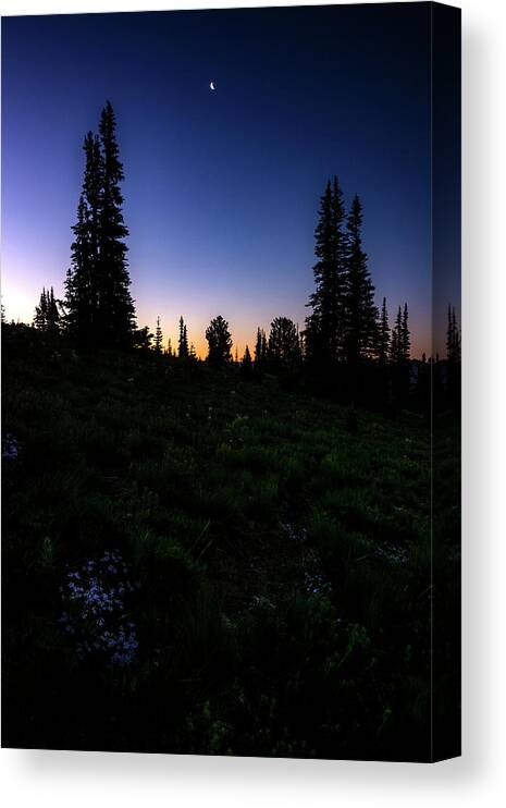 Tree Canvas Print featuring the photograph Tree Silhouette Sunrise 2 by Pelo Blanco Photo