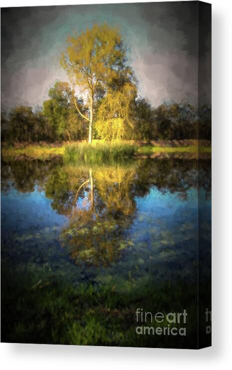 Nature Canvas Print featuring the digital art Trees and pond by Patricia Hofmeester