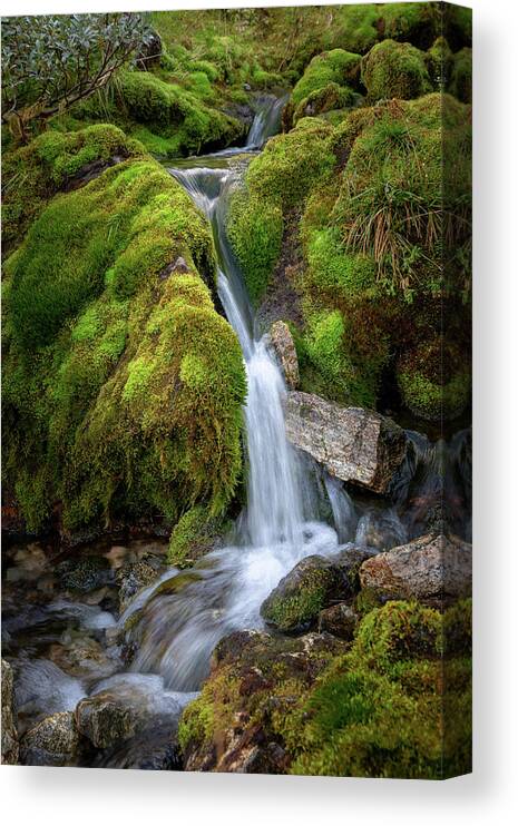 Landscape Canvas Print featuring the photograph Tufteelvi, Norway by Andreas Levi