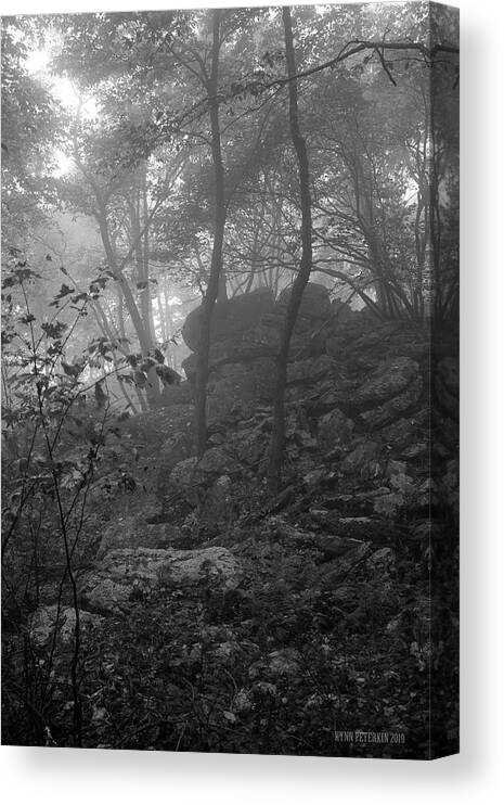 Nature Canvas Print featuring the photograph Untitled by Kynn Peterkin