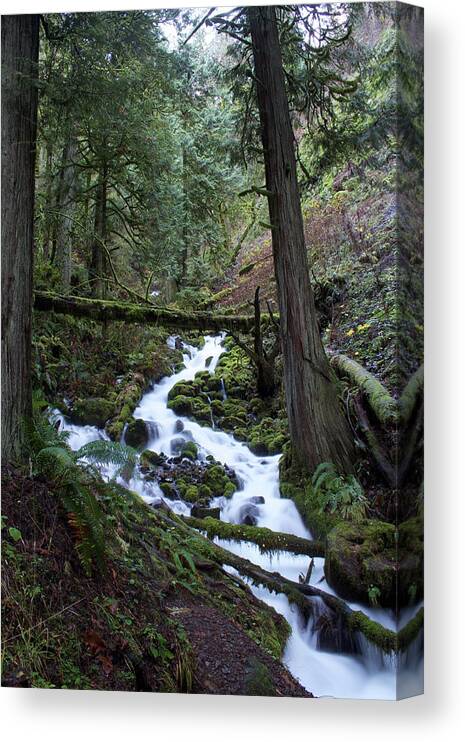 Dylan Punke Canvas Print featuring the photograph Upper Wahkeena by Dylan Punke