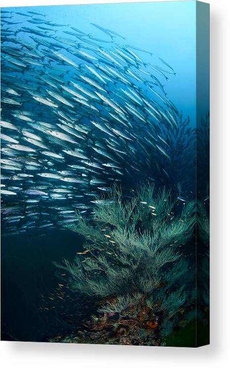 Thailand Canvas Print featuring the photograph Vortex by Andrey Narchuk