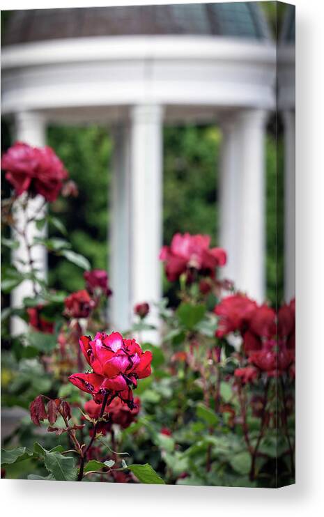 Asia Canvas Print featuring the photograph VP Garden 2 by Bill Chizek