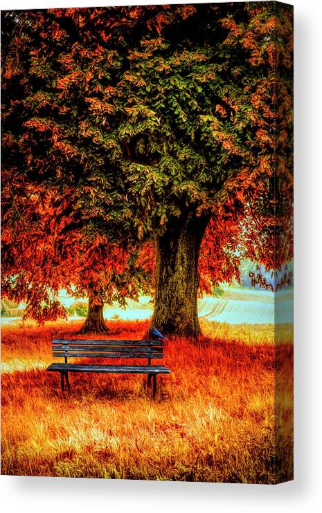 Fall Canvas Print featuring the photograph Waiting for You in Autumn Colors by Debra and Dave Vanderlaan