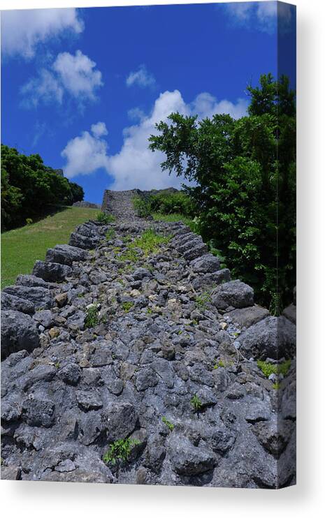 Castle Canvas Print featuring the photograph Walkway to Heaven by Eric Hafner