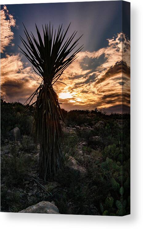 Photo Canvas Print featuring the photograph West Texas sunset by Jason Hughes