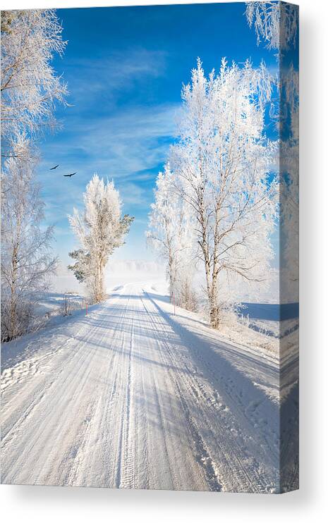 Snow Canvas Print featuring the photograph White Morning by Philippe Sainte-Laudy