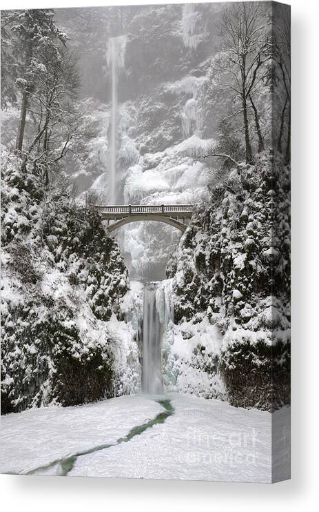 Multnomah Falls Canvas Print featuring the photograph Multnomah Falls covered in Winter Snow and Ice by Tom Schwabel