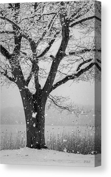 Snow Canvas Print featuring the photograph Winter Landscape IX BW by David Gordon