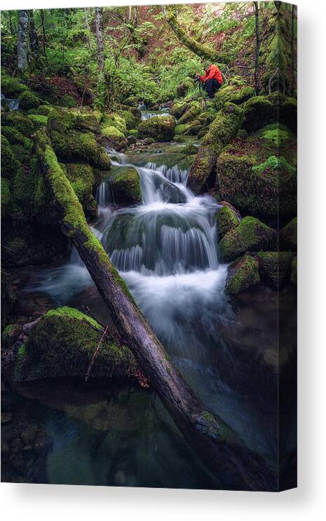 Forest Canvas Print featuring the photograph Working Time by Francisco Crusat