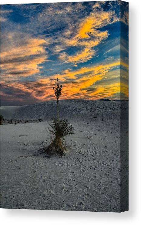 White Sands Canvas Print featuring the photograph Yucca Sunset Skies at White Sands, New Mexico by Chance Kafka