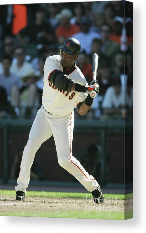 San Francisco Canvas Print featuring the photograph Barry Bonds #1 by Brad Mangin
