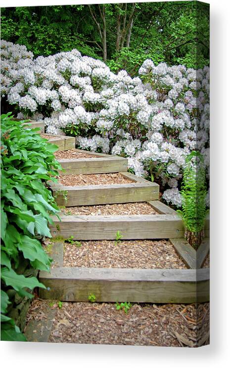 Rhododendron Canvas Print featuring the photograph Cornell Botanic Gardens #7 by Mindy Musick King