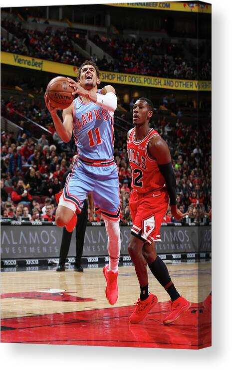 Trae Young Canvas Print featuring the photograph Kris Dunn by Gary Dineen