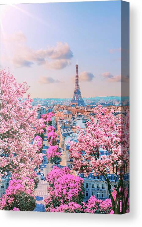 Spring Canvas Print featuring the photograph Paris Sakura #1 by Manjik Pictures
