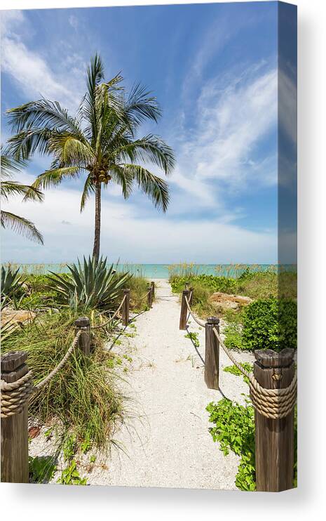 Florida Canvas Print featuring the photograph Path to the beach #1 by Melanie Viola