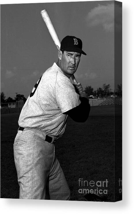 People Canvas Print featuring the photograph Ted Williams by Olen Collection