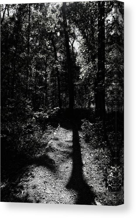 Tree Canvas Print featuring the photograph The Shadow of the Tree #1 by George Taylor