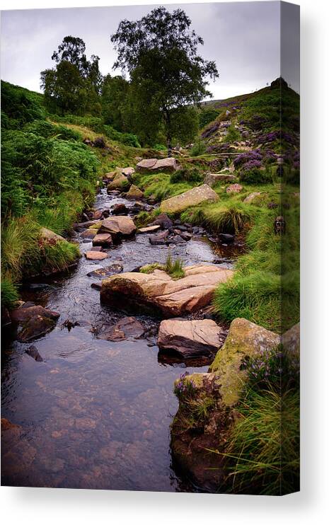 North Yorkshire Canvas Print featuring the photograph Yorkshire moors #1 by Svetlana Sewell