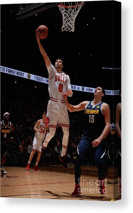 Chicago Bulls Canvas Print featuring the photograph Zach Lavine by Bart Young